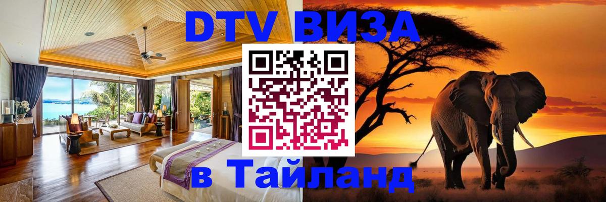 Сколько стоит DTV виза — актуальные цены, оформление даже без документов - 